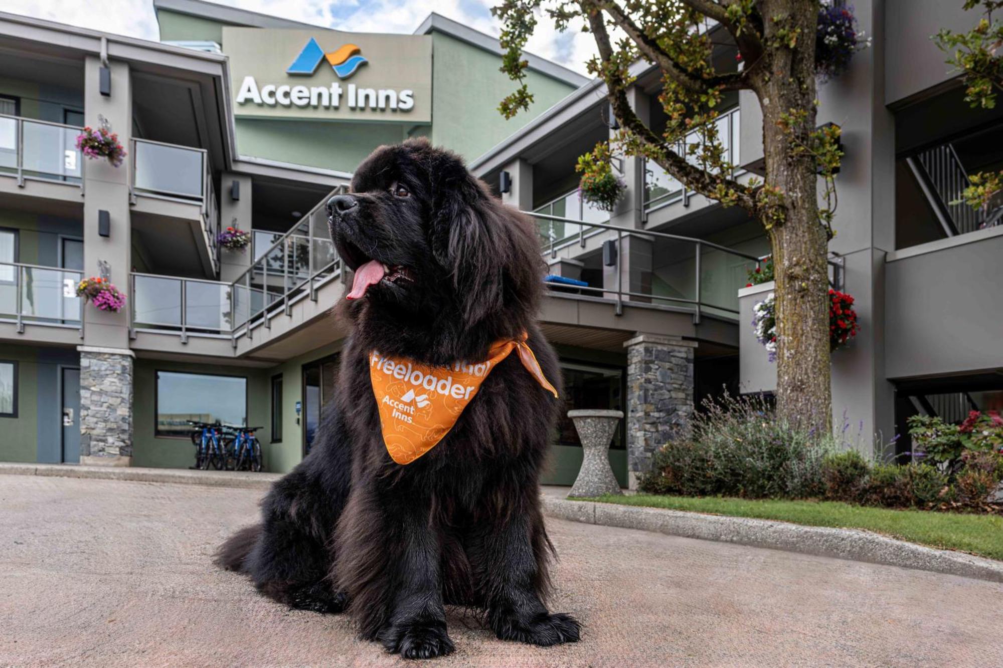 Accent Inns Kamloops Extérieur photo