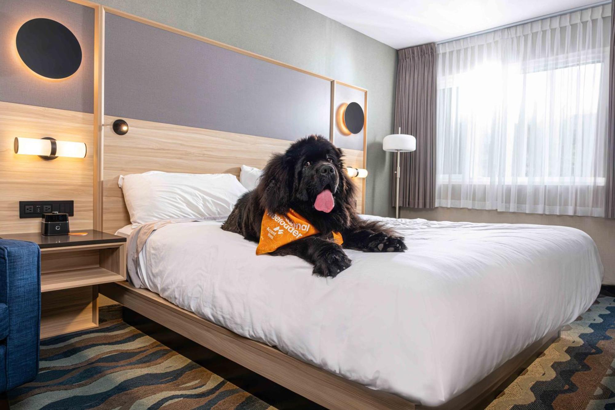 Accent Inns Kamloops Extérieur photo